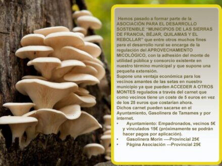 Micología