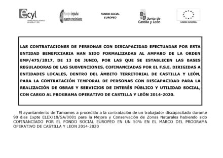 Contratación de personas con discapacidad